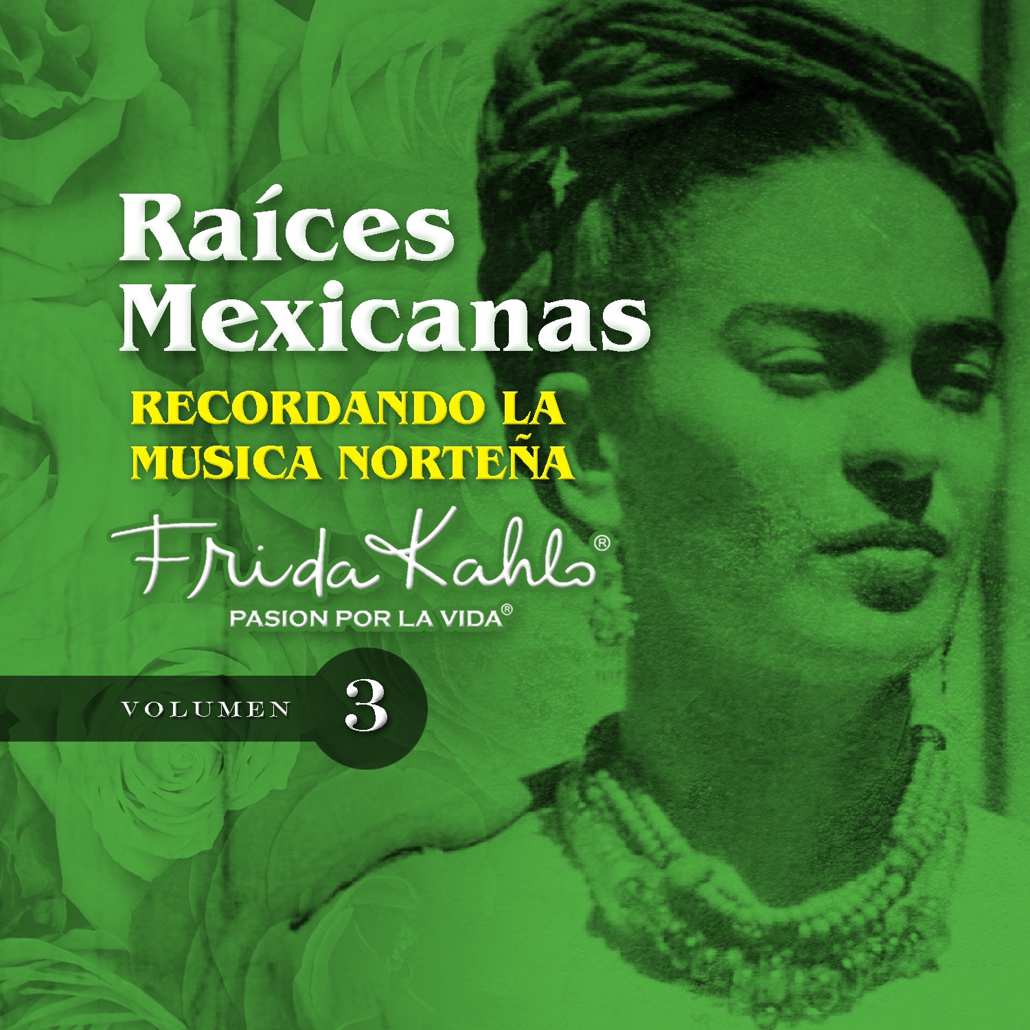 Recordando La Musica Norteña (Raices Mexicanas Vol. 3)
