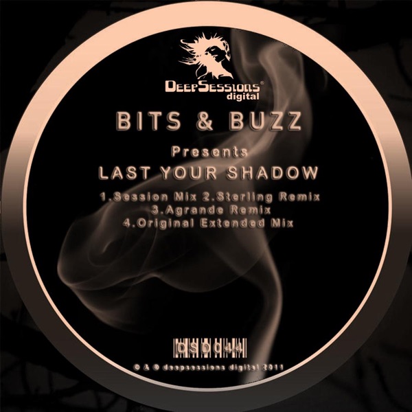 Last Your Shadow (Remixes)