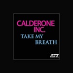 Calderone Inc.