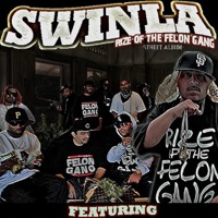 Rize Of The Felon Gang - Swinla