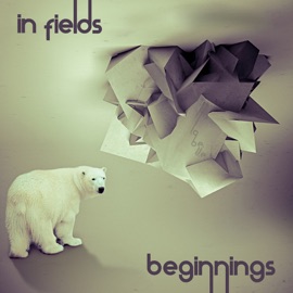 Beginnings In Fields