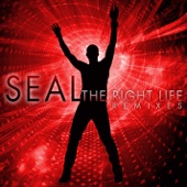 The Right Life (Rocasound Remix) artwork