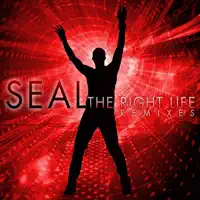 The Right Life (Eddie Amador`s USA Radio Edit) — Seal
