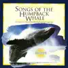 Three Whale Trip