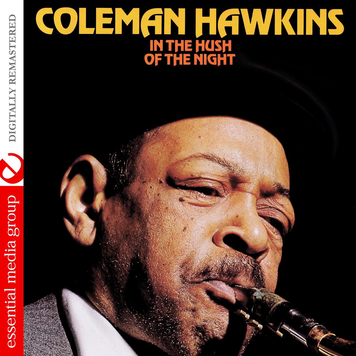 In the Hush of the Night (Remastered) cover art