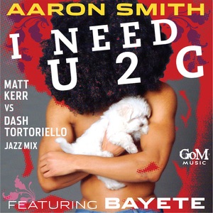 I Need U 2 C (Matt Kerr vs. Dash Tortoriello Jazz Mix) [feat. Bayete] - Single
