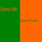 We Thank You - Carry Life lyrics