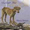 Shelter Me - Maria Daines