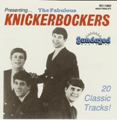 Presenting: The Fabulous Knickerbockers