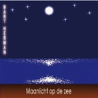 Maanlicht op de zee