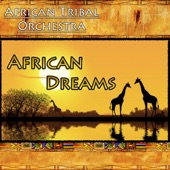 African Dreams artwork