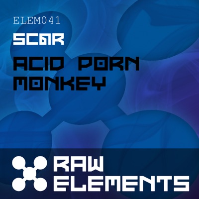 Acid Porn Monkey - EP
