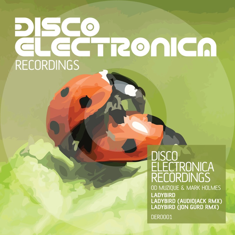 Обложка альбома «Ladybird (Remixes) - Single» — Mark Holmes & OD Muzique