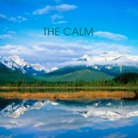 The Calm - 101 Strings Orchestra