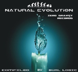 JellyFish Evenflow