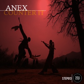 Counter It Anex