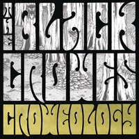 The Black Crowes - Remedy (2010 Acoustic Version)