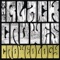 She (2010 Acoustic Version) - The Black Crowes lyrics