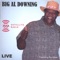 Mr. Jones - Big Al Downing lyrics