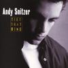 Andy Snitzer - The Shelter of Your Arms