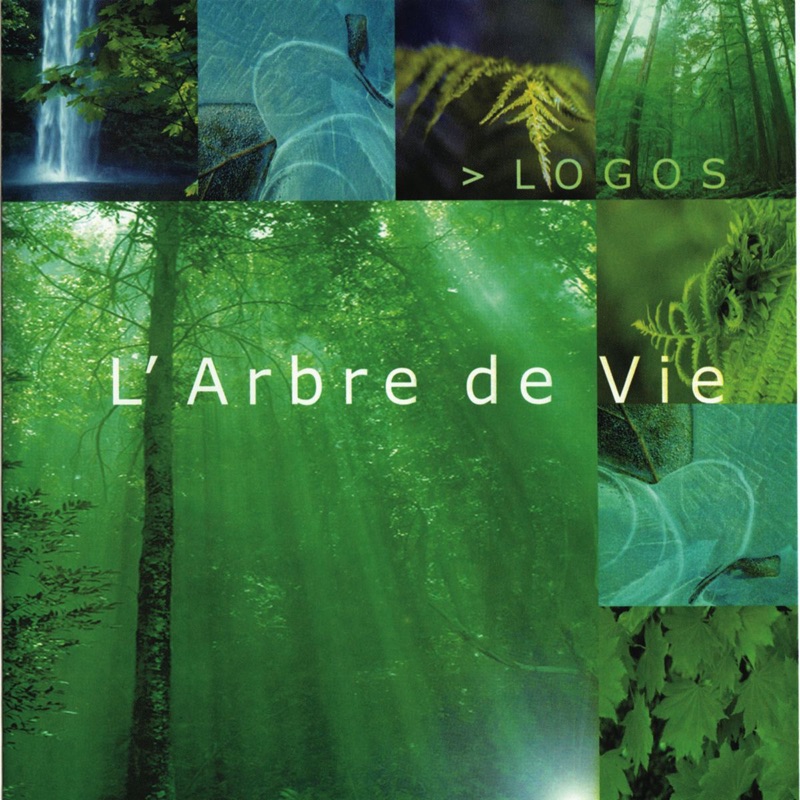 Forêt magique