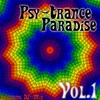 Psy-Trance Paradise Vol. 1 - Incl. DJ-Mix