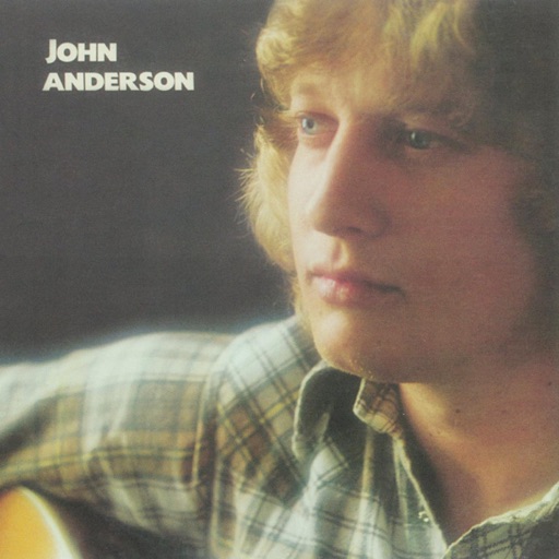 Art for She Just Started Liking Cheatin' Songs by John Anderson