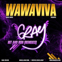 Hit And Run (Remixes) - DJ Gray