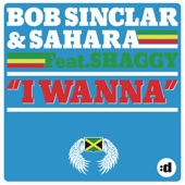 I Wanna (feat. Shaggy) [Radio Edit] artwork