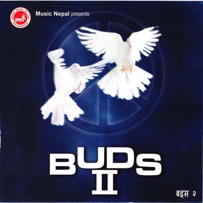 Deepesh Shrestha - Birsana Sakdina