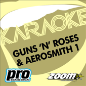 Zoom Karaoke: Guns 'N' Roses & Aerosmith, Vol. 1 (Karaoke Version)