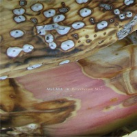 From This Darkness Spin the Golden Soul