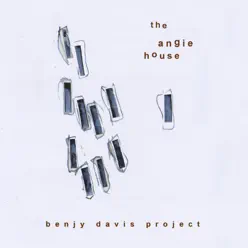 The Angie House - Benjy Davis Project The Angie House - Benjy Davis Project