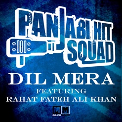 DIL MERA cover art