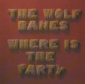 Where Is the Party artwork