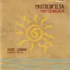 Musicofilia - Pedimmu