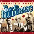 Salty Dog Blues