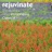 Concerto for Harp & Orchestra in C Major: III. Rondeau - Allegro agitato