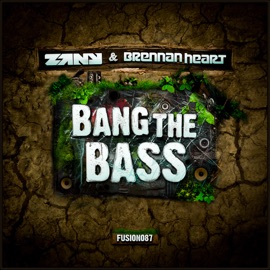 Bang the Bass (Original Edit) Zany & Brennan Heart