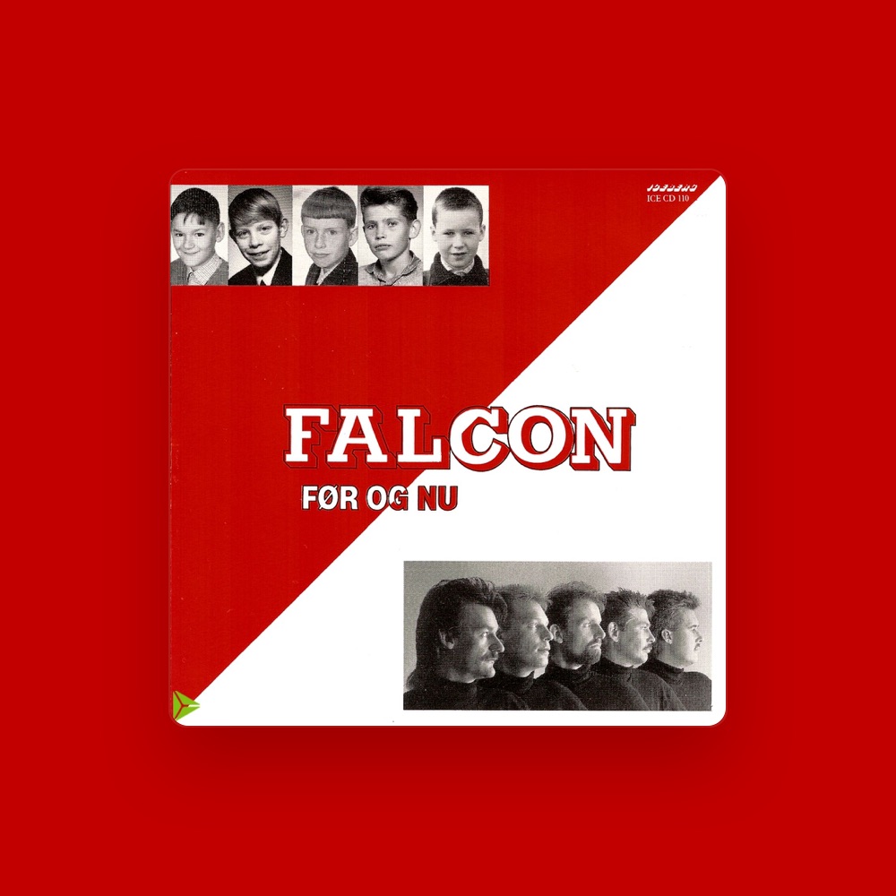 Фото Falcon