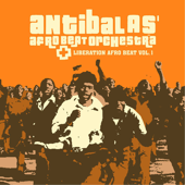 Cover art for Liberation Afro Beat, Vol. 1 by Antibalas