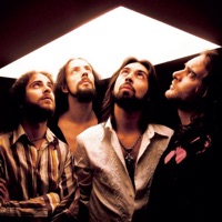 Fermi senza forma - Single - Le Vibrazioni