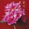 Kinmokusei - Miwa Sasagawa lyrics