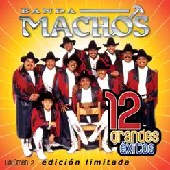 Banda Machos: 12 Grandes Exitos, Vol. 2 - Banda Machos