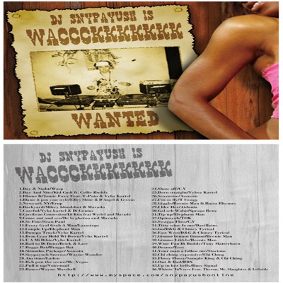 DJ SNYPAYUSH - Blame It/Jamie Foxx ft.T-Pain & Vybz Kartel