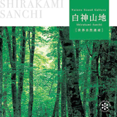 白神岳〜鳥のさえずり