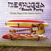 Meshugga Beach Party - Dayenu