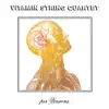 Vitamin String Quartet - Hold On