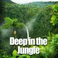 Escape into Jungle Ambience to Relieve Stress