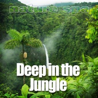 Nature Spa - Escape Into Jungle Ambience To Relieve Stress
